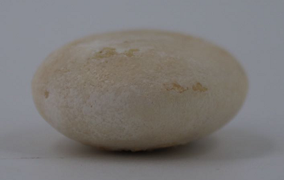 2616246.jpg
