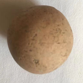 10495.jpg
