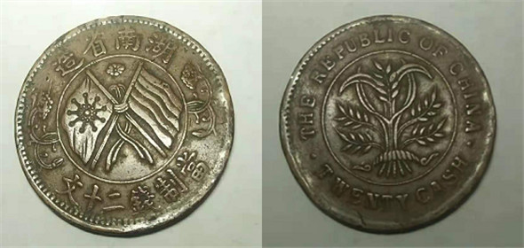 7081912.jpg