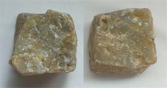 2201324.jpg