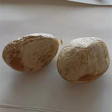 微信图片_20220113225002.jpg