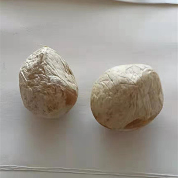 微信图片_20220113225011.jpg