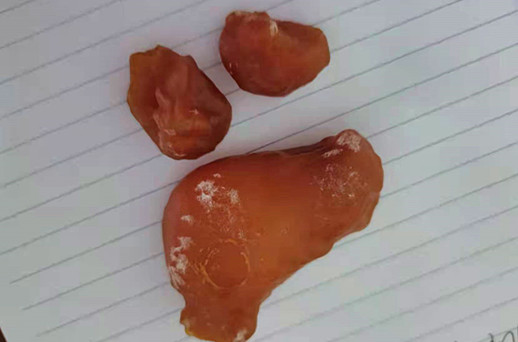 微信图片_20220325171120.jpg