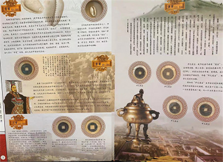 8155709.jpg