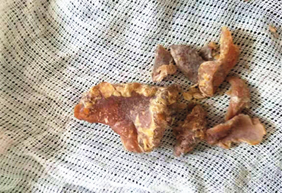 微信图片_20220618174457.jpg 微信图片_20220618174457.jpg