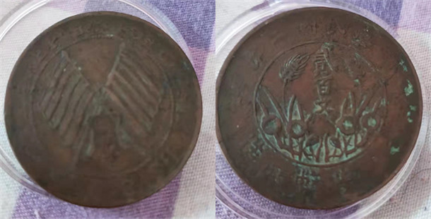 8163113.jpg