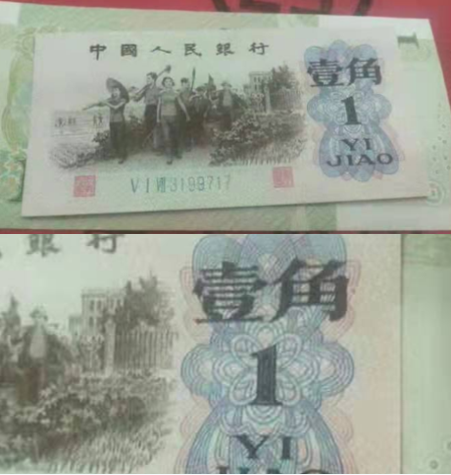 6134203.jpg