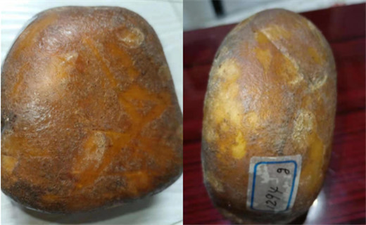 731336.jpg