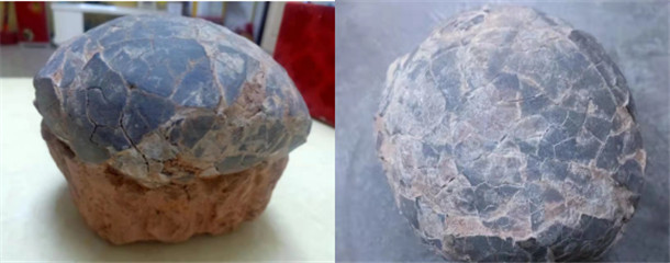 613344.jpg