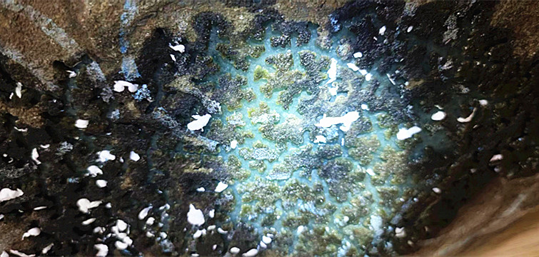 微信图片_20230621162427.jpg 微信图片_20230621162427.jpg