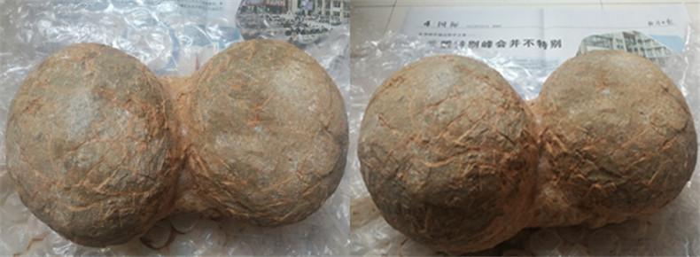 971146.jpg