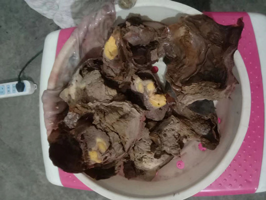 微信图片_20231111103102.jpg 微信图片_20231111103102.jpg