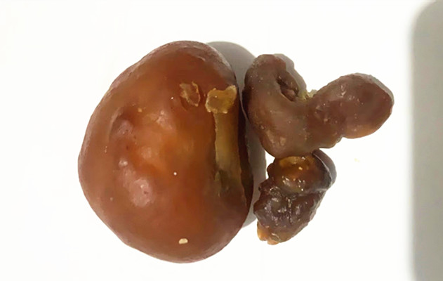 微信图片_20240225110626.jpg 微信图片_20240225110626.jpg